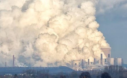 Wielka Brytania zeroemisyjna do 2050 – zaleca Komitet ds. Zmiany Klimatu
