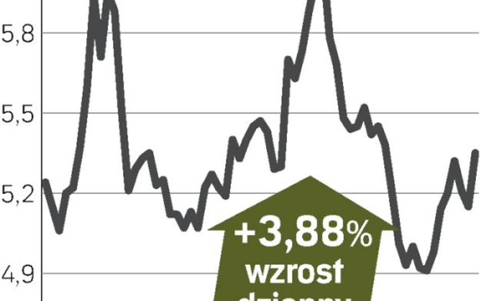 Prognoza spodobała się akcjonariuszom