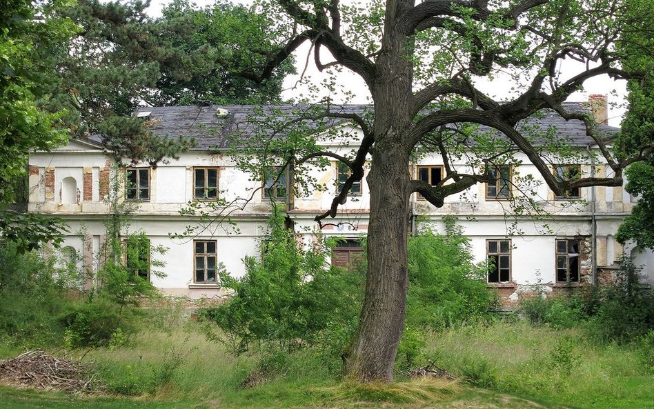 Jednemu z byłych właścicieli pałacu zawdzięczamy polskie barwy narodowe