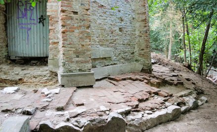 Archeolodzy odsłonili pozostałości dawnej zabudowy w rezerwacie przyrody