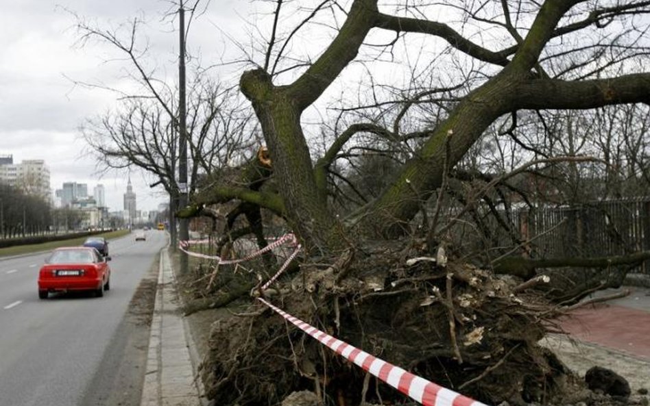 Burza to wyzwanie dla drogowców i kierowców