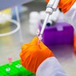 Blirt: pandemia sprzyja, wyniki coraz lepsze
