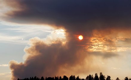 Polscy strażacy pomogą gasić Szwecję