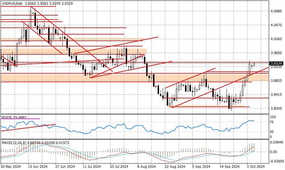 Wykres dzienny USDPLN