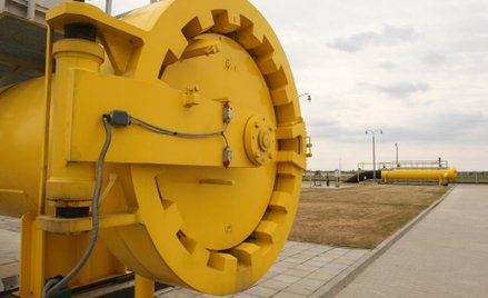 Na wniosek polskiej strony sąd powołał kuratora w EuRoPol Gazie