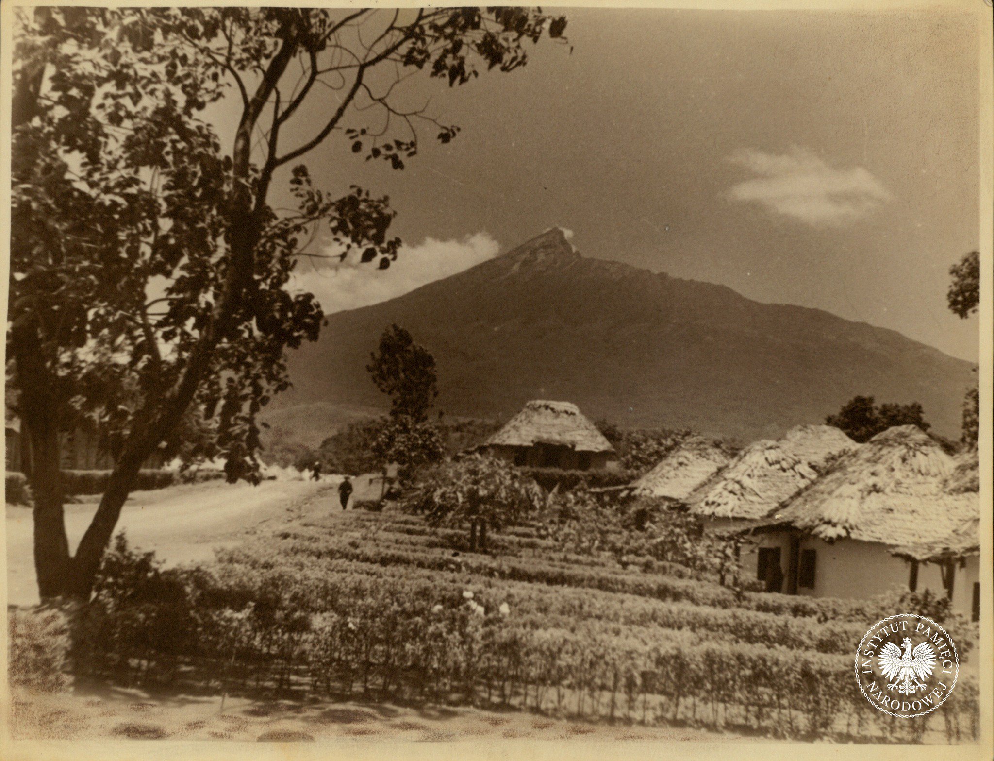 Sybiracy w Afryce: Polscy uchodźcy w Tengeru