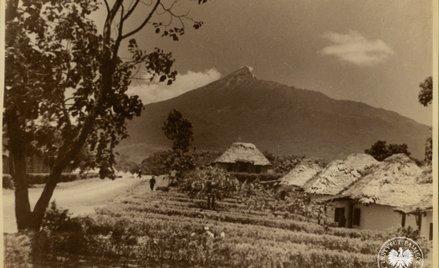 W Tengeru działał szpital, a nawet sanatorium przeciwgruźlicze – położone wysoko na stokach góry Mer