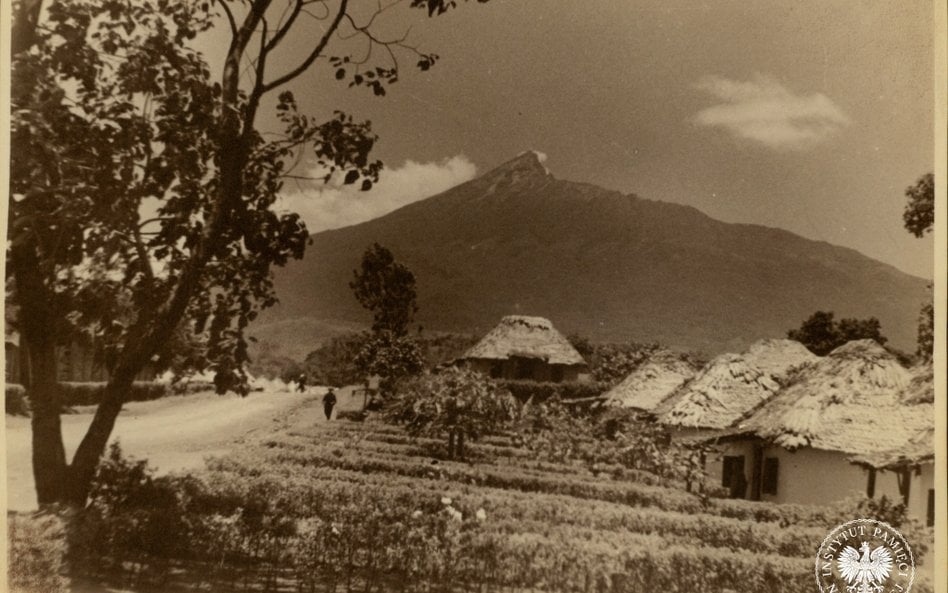 W Tengeru działał szpital, a nawet sanatorium przeciwgruźlicze – położone wysoko na stokach góry Mer