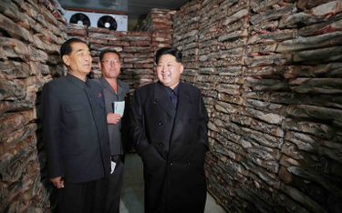 Dyktator Korei Północnej, Kim Dzong Un