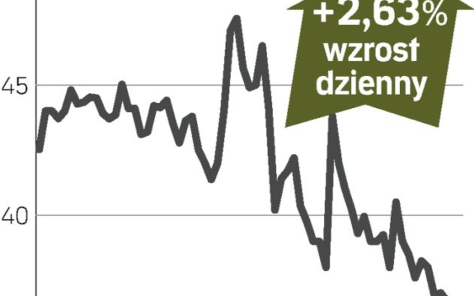 Giełdowi gracze liczą na inwestorów