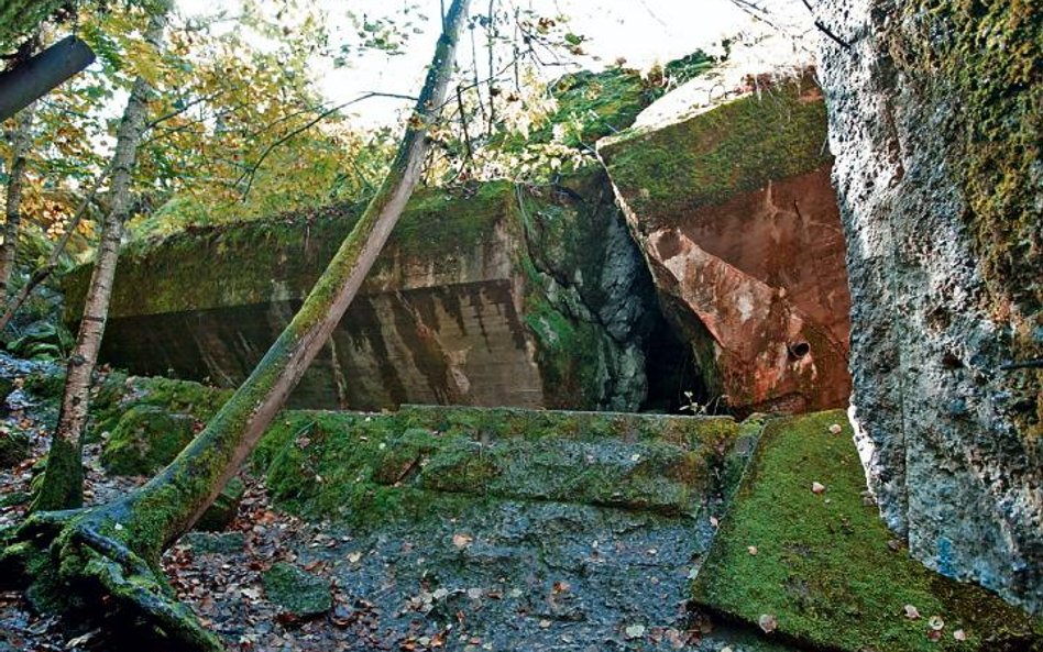 Kwatera Hitlera pod Kętrzynem (Wilczy Szaniec), stan obecny