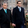 Morawiecki u Orbana - "Sojusz przeciwko Brukseli"