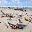 Naukowcy stworzyli materiał przyszłości. Może zastąpić plastik niemal wszędzie