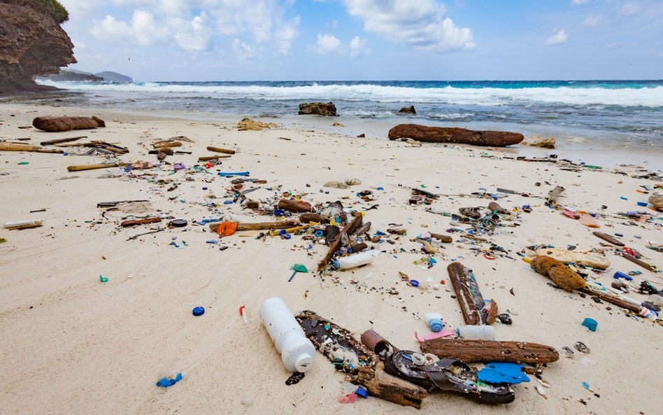 Naukowcy stworzyli materiał przyszłości. Może zastąpić plastik niemal wszędzie