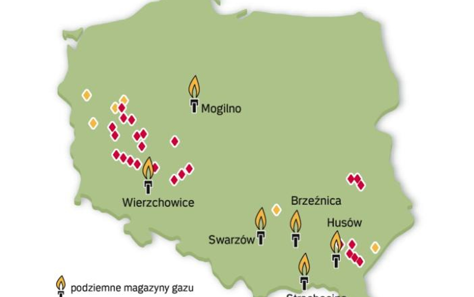 Polskie Górnictwo Naftowe i Gazownictwo szacuje swoje udokumentowane złoża gazu na 100 mld m3. Wysta