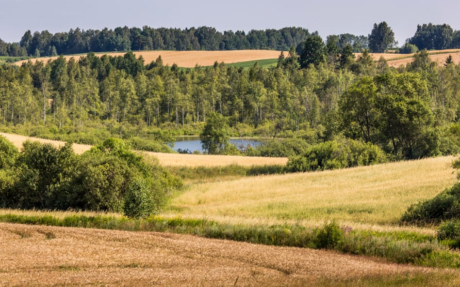 Okolice Suwałk. Obszar przesmyku suwalskiego / zdjęcie ilustracyjne