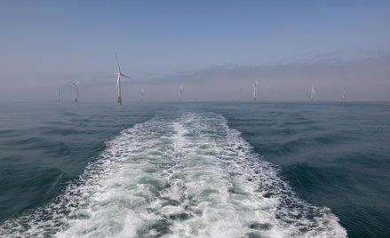 PGE Baltica rozpoczyna badania środowiskowe dla kolejnej morskiej farmy wiatrowej