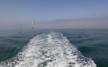 PGE Baltica rozpoczyna badania środowiskowe dla kolejnej morskiej farmy wiatrowej