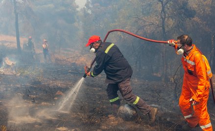 Grecja martwi się o „pożary przyszłości”. Uruchamia narodową mapę ryzyka