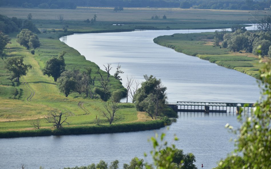 Spółki dołożą się do ratowania Odry. Powstaną nowe instalacje za miliardy