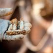 W północnej i wschodniej Francji w ziemi zalega jeszcze dużo grożącej wybuchem amunicji. Archeolodzy