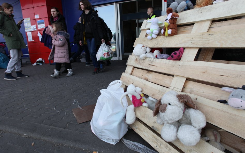 Prezes ZUS zapowiada: wnioski o 500+ będą także po ukraińsku