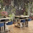 Kwiatowy ibis Styles otworzył się w Krakowie