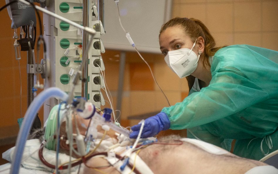 Czechy znoszą paszporty covidowe i obowiązkowe testy