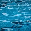 Basen publiczny mógł być miejscem zakażenia amebą w USA
