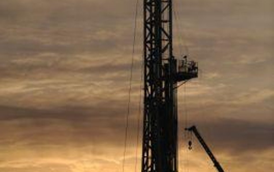 Akcje Petrolinvestu mocno podrożały w końcówce sesji
