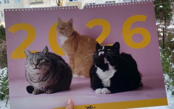 Kalendarz Koterii można kupić za 60 złotych.