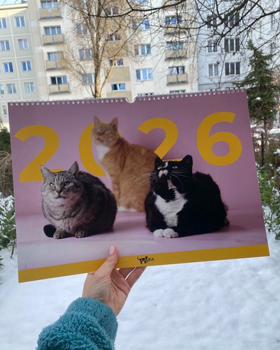 Kalendarz Koterii można kupić za 60 złotych.