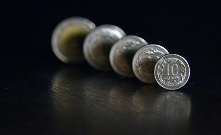W 2010 zysk netto GTC wyniósł 42 mln euro