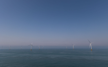 Wszystkie morskie farmy wiatrowe mają już decyzję środowiskową