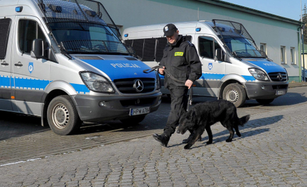 Ustawa dotyczy m.in. ponad 900 psów służących w policji