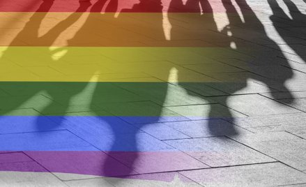 Stowarzyszenia LGBT mogą pozywać za dyskryminujące wypowiedzi ws. warunków dostępu do zatrudnienia l