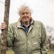 Uczy dbać o naturę od dekad. Legendarny biolog David Attenborough kończy 100 lat
