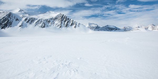 Naukowcy zajrzeli pod lód Antarktydy i odkryli nieznany dotąd świat