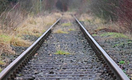 PKP przygotowane do świątecznych wyjazdów