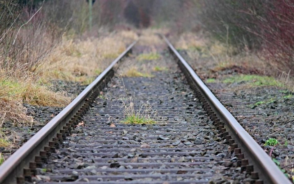 PKP przygotowane do świątecznych wyjazdów