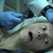 Film „Epidemia strachu” z 2011 roku z Gwyneth Paltrow jest jednym z najczęściej ściąganych z piracki