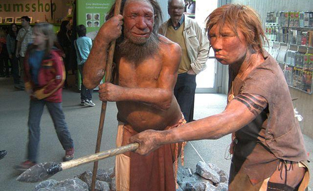Neandertalczycy przekazali Europejczykom o Azjatom geny, który pozwoliły przetrwać w nowym środowisk
