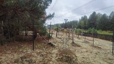Na opuszczonych cmentarzach w strefie wykluczenia w Czarnobylu naukowcy znaleźli ponad 400 gatunków 