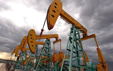 Ukraina planuje wydać na poszukiwania ropy i gazu 35 mln dol