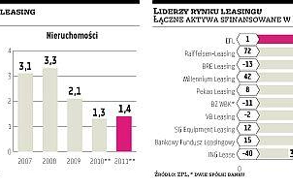 Rynek wzrośnie w tym roku o ponad 11 procent