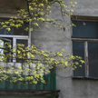 Najem na nowych zasadach