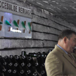 Fot. veni markovski