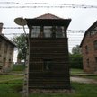 Bez odszkodowania za eksperymenty w Auschwitz