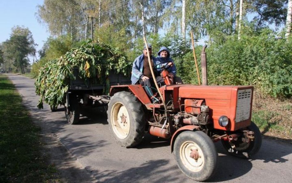 Rolnik z własną firmą może pozostać w KRUS