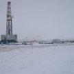 Petrolinvest odpowiedział na pytania SII